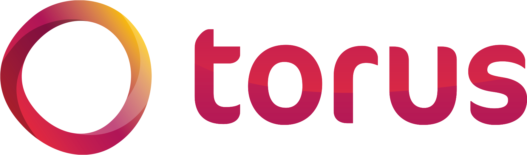 Torus